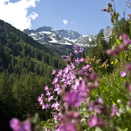Hotel Muehlenerhof Campo Tures
